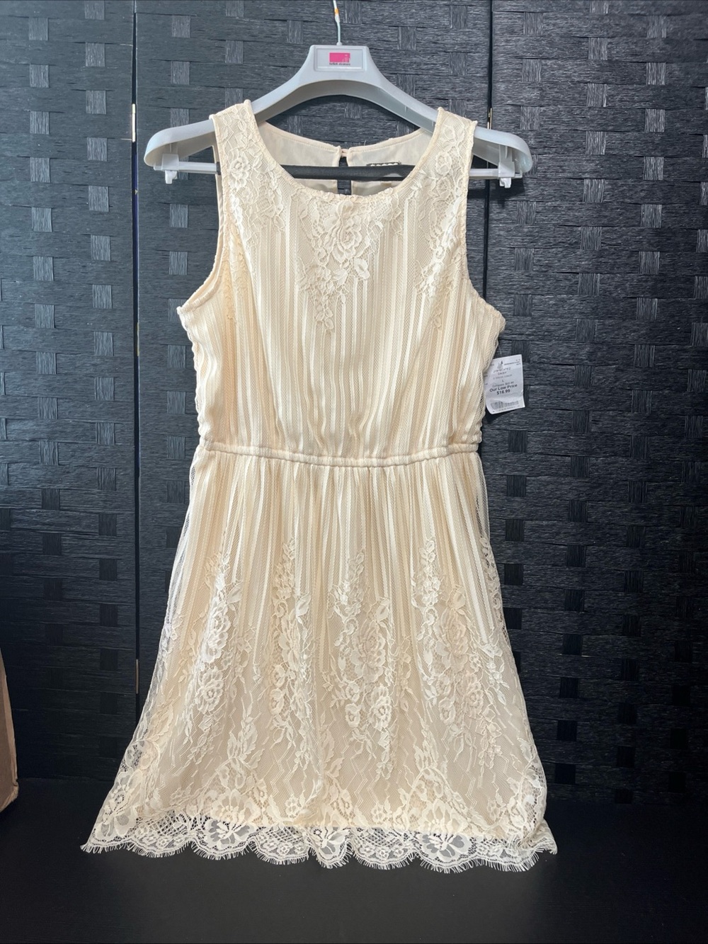 Eyeshadow Cream Lace-Overlay Sleeveless Mini Dress